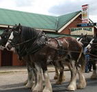 Araluen Valley Hotel - Araluen - Australian Destinations