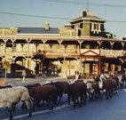 The Commercial Hotel Coonamble - Coonamble - Australian Destinations