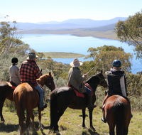 Reynella Homestead and Horseback Rides - Australian Destinations