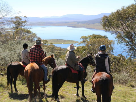 Reynella Homestead And Horseback Rides - Australian Destinations 0