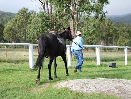 Cherrabah Resort - Australian Destinations 2