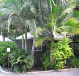 Nambour Rainforest Holiday Village - Australian Destinations 1