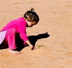 Stony Creek Farm B and B - Australian Destinations