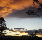 Silkwood B and B - Australian Destinations