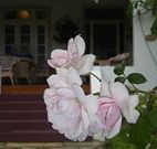 White House Heritage Guesthouse - Australian Destinations