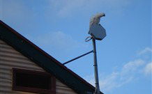Hat Head Holiday House - Australian Destinations 6