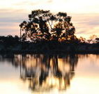 Myuna Bay Sport and Recreation Centre - Australian Destinations