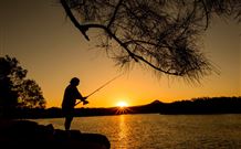 Oakbourne Cottage, Gingers Creek - Australian Destinations 5