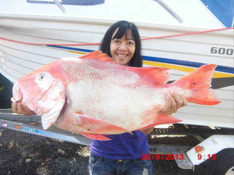 Flying Fish Point Tourist Park - Australian Destinations 6