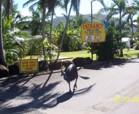 Flying Fish Point Tourist Park - Australian Destinations 9