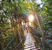O'Reilly's Rainforest Retreat - Australian Destinations
