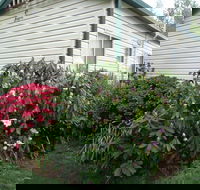 Jenolan Caravan Park - Australian Destinations