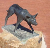 The Ardlethan Kelpie Caravan Park - Australian Destinations