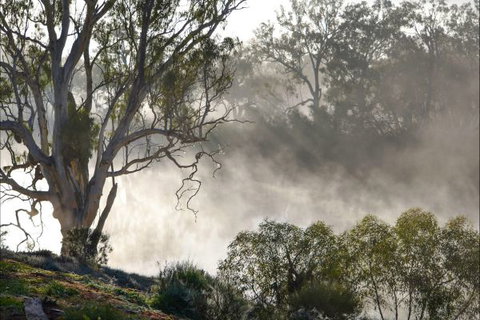 River Shack Rentals - Living The Dream - Australian Destinations 57