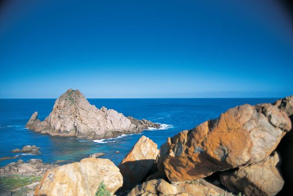 Boranup WA Australian Destinations