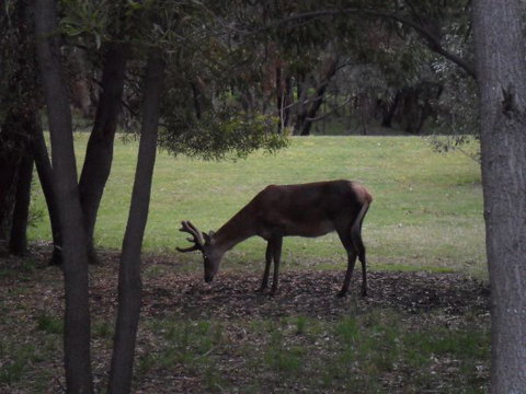 Grampians Chalets - Australian Destinations 1