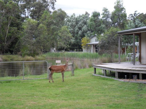 Grampians Chalets - Australian Destinations 3