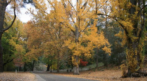 Wilderness Retreats Buchan Caves Reserve - Australian Destinations 9