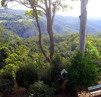 Mt Tamborine Motel - Australian Destinations