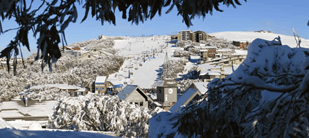 Alpine Ridge Lodge - Australian Destinations