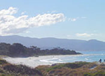 Bicheno On The Beach - Australian Destinations 5