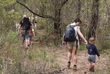 Bicheno East Coast Holiday Park - Australian Destinations 3