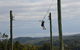 Allambee Camp - thumb 3
