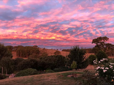 Avaleigh Elms Farmstay - Australian Destinations 5