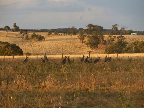 Bunjil Farm - Australian Destinations 8