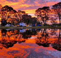 Coonawarra Bush Holiday Park - Australian Destinations