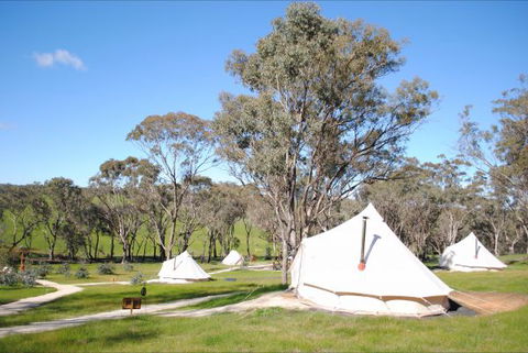 Cosy Tents - Australian Destinations 5