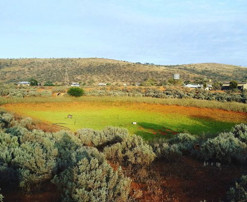 Mount Ive - Australian Destinations 0