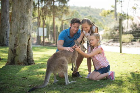 Paradise Country Farmstay - Australian Destinations 7
