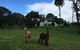 The Old Drik Drik Schoolhouse Retreat - thumb 5