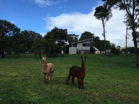 The Old Drik Drik Schoolhouse Retreat - Australian Destinations 5