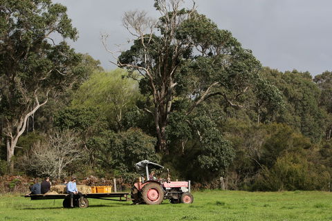 Boronia Farm - Australian Destinations 0