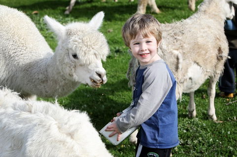 Boronia Farm - Australian Destinations 2