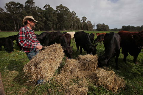 Boronia Farm - Australian Destinations 5