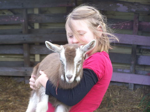 Eden Orchard And Farmstay - Australian Destinations 3