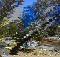 Highfield Farm and Woodland Bush Campsites - Australian Destinations