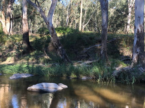 Highfield Farm And Woodland Bush Campsites - Australian Destinations 1