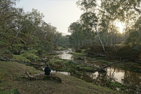 Highfield Farm And Woodland Bush Campsites - Australian Destinations 2