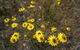 Highfield Farm And Woodland Bush Campsites - thumb 3