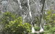 Highfield Farm And Woodland Bush Campsites - thumb 4