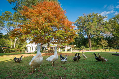 Kalinya Estate - Australian Destinations 8