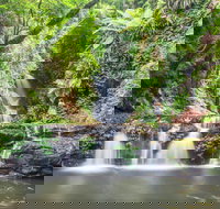 O'Reilly's Rainforest Retreat - Australian Destinations