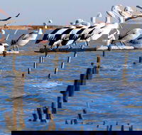 Pelican Perch Retreat - Australian Destinations
