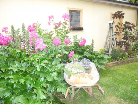 Aggies Bed And Breakfast - Australian Destinations 2