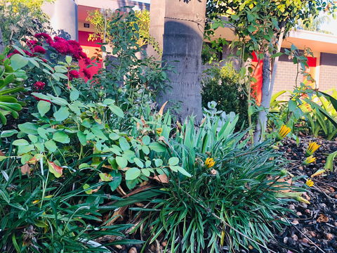 Albury Garden Court Motel - Australian Destinations 1