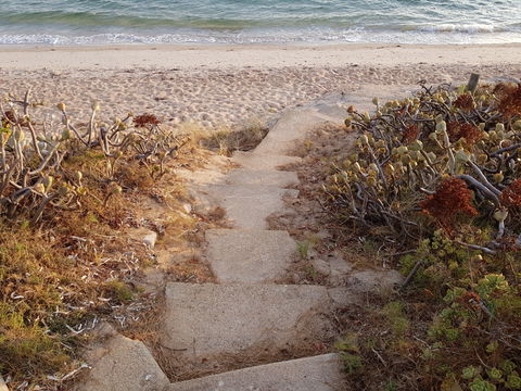 Albarino - Australian Destinations 1